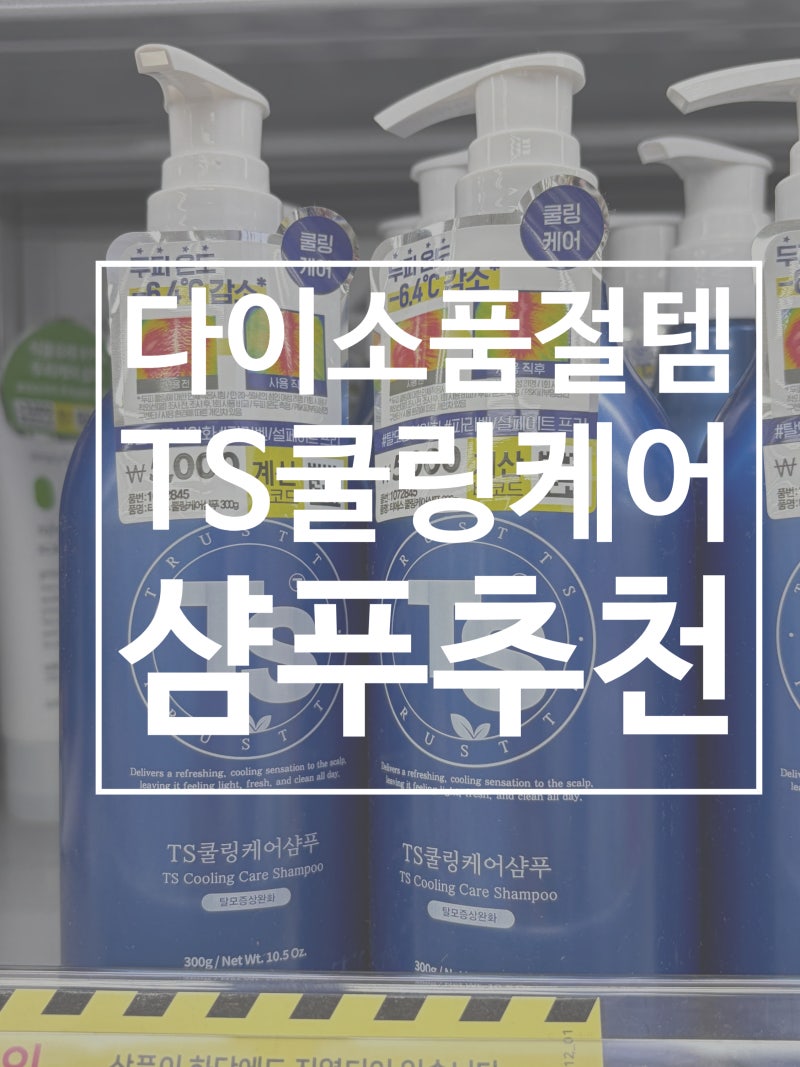 다이소TS샴푸 탈모샴푸 TS쿨링샴푸 찐후기 다이소추천