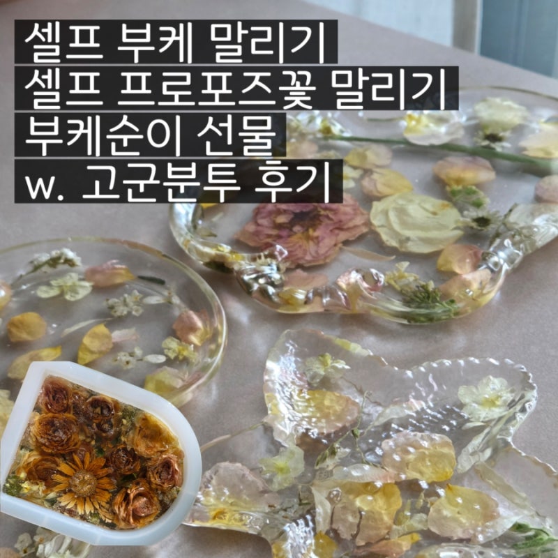 셀프 부케 말리기 셀프 프로포즈 꽃 말리기 3주에 걸쳐 완성한 후기
