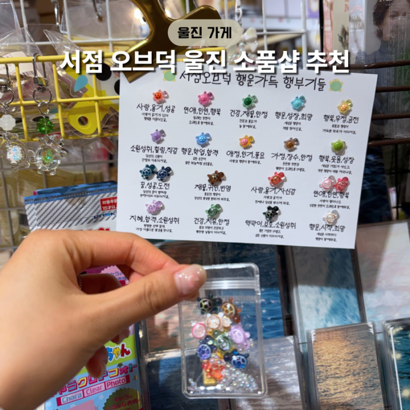 [울진/서점 오브덕] 행운 거북이, 말랑이 판매하는 소품샵 추천(울진 가볼만한 곳, 놀거리 추....