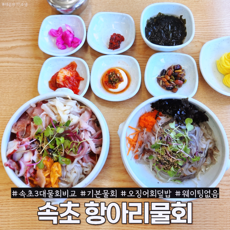 속초 맛집 속초항아리물회 속초 3대 물회 비교 끝에 만족, 오징어회