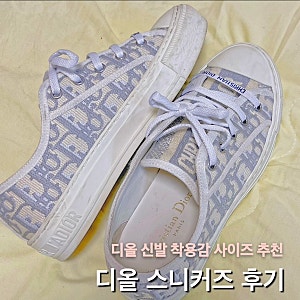 디올 스니커즈 디올 오블리크 워크앤 디올신발 착용감 사이즈선택 추천 내돈내산 후기
