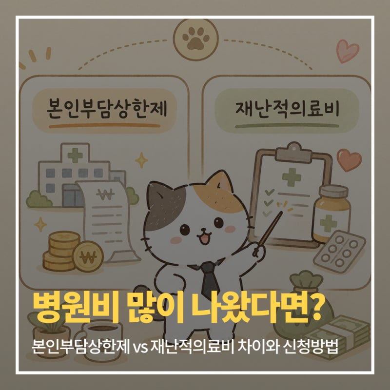병원비 많이 나왔다면? 본인부담상한제 vs 재난적의료비 차이와 신청방법