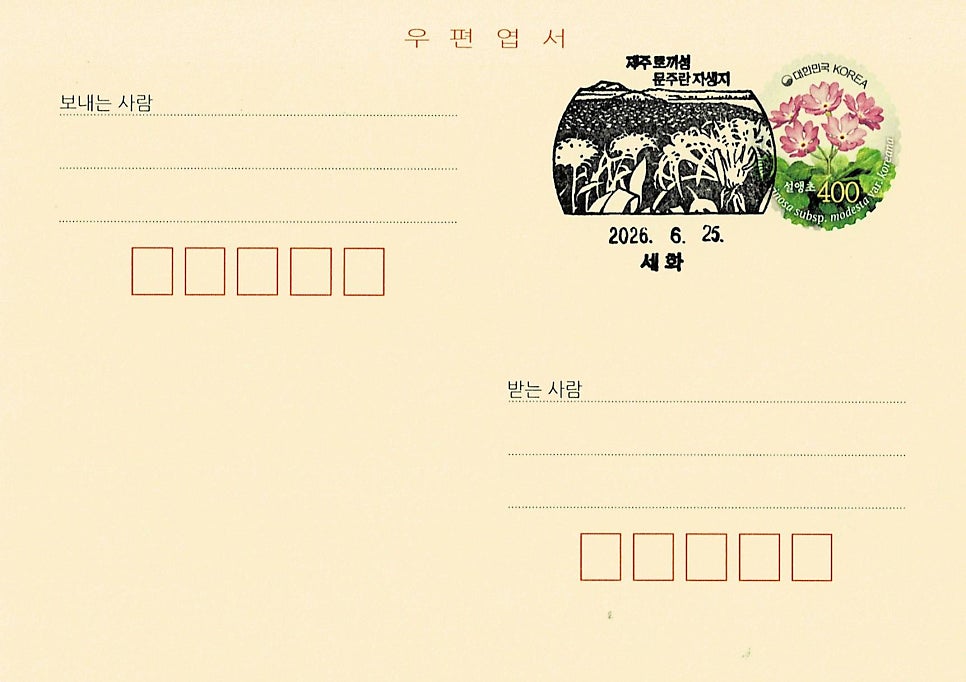 수집 사진 2