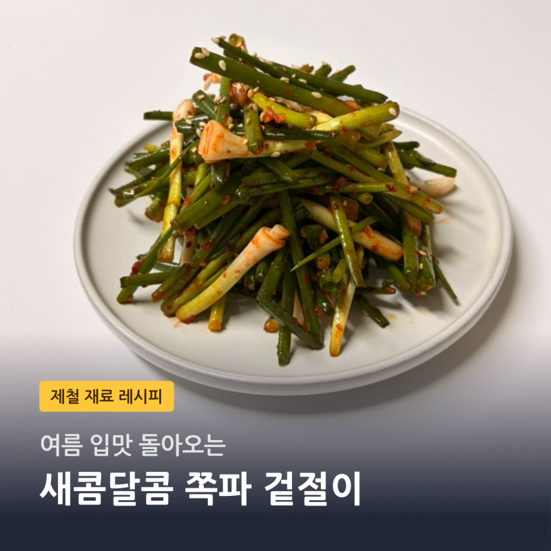 제철 재료 쪽파 겉절이 레시피