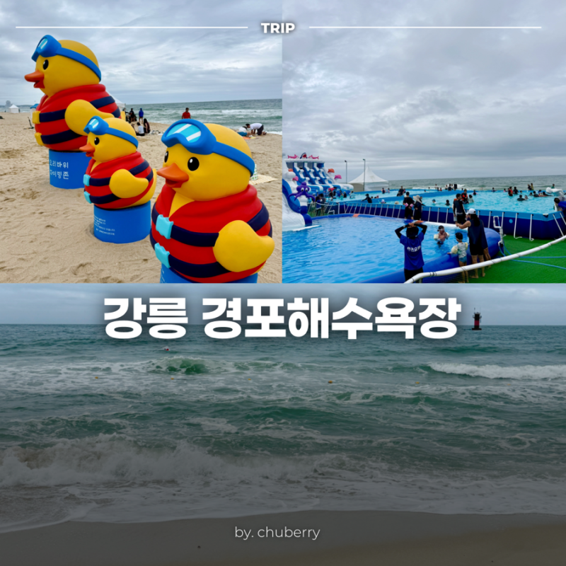 강릉 경포해변 경포해수욕장 개장일 및 8월 실시간 현황