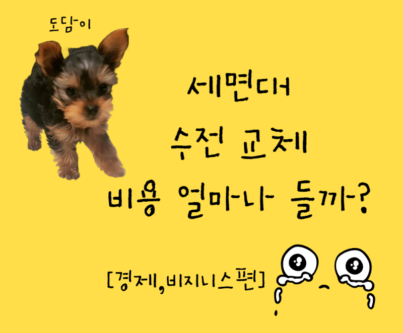 세면대 수전 교체 비용 얼마나 들까? 셀프와 업체 비용 총정리