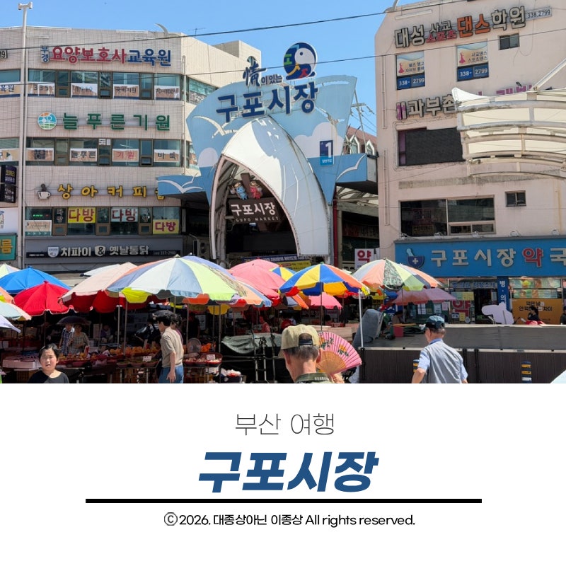 부산 구포시장 먹거리 구경, 국수 죽 횟집까지 알찬 전통시장 코스 총정리