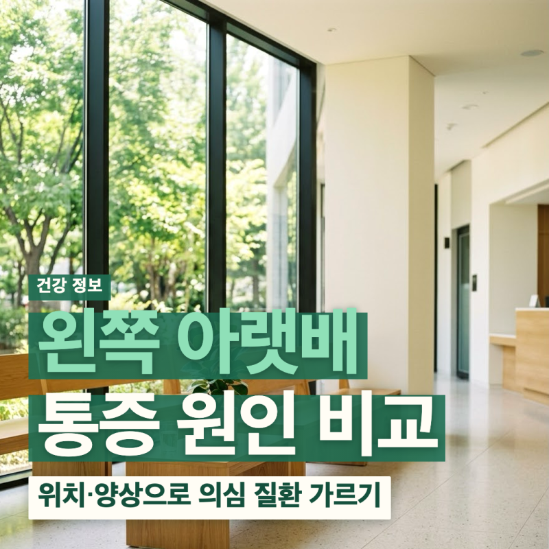 왼쪽 아랫배 통증 원인 위치별 의심 질환 병원 가야 할 때