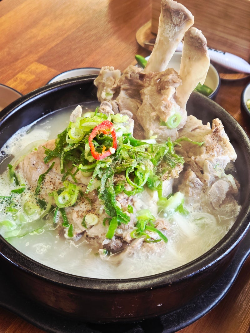 제주공항 근처 맛집 | 제주본날에서 먹어본 제주도 향토음식 접짝뼈국과 접짝뼈구이
