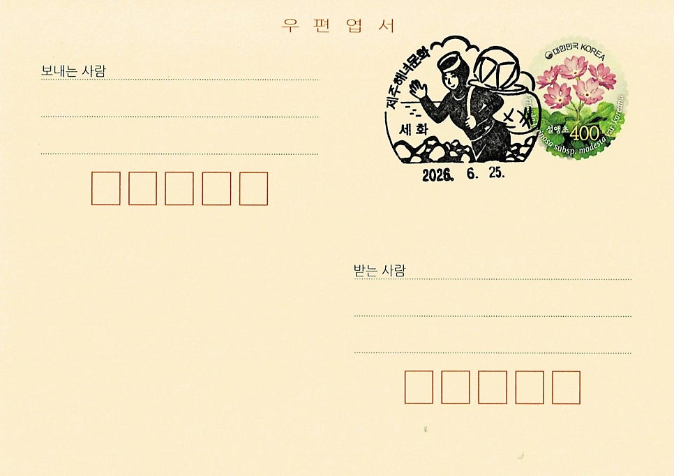수집 사진