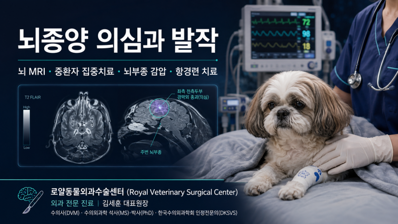 [Case Study] 노령견 강아지 뇌종양·반복 발작 진단과 뇌부종·두개내압 조절 중환자 집중치료 ....