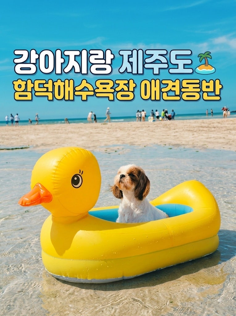 제주 함덕해수욕장 애견동반 완벽 가이드, 서우봉 산책로와 주차 꿀팁 총정리