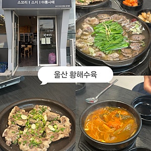 울산 일산지 소꼬리,스지,아롱사태 수육맛집 황해수육 / 해장국도 맛있었어요