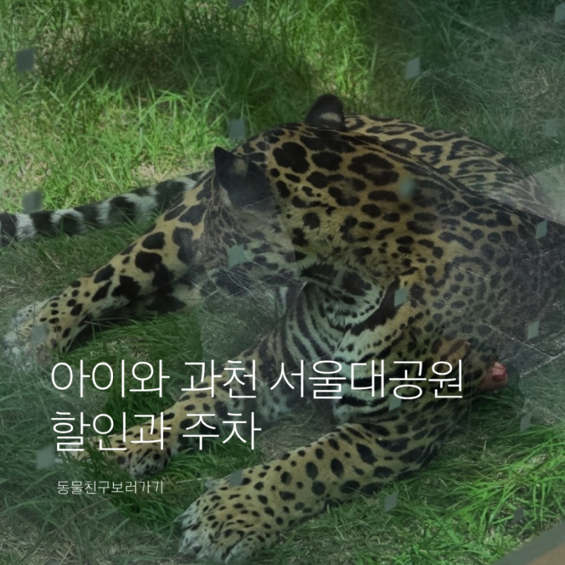 5살아이와 서울대공원 동물원 입장료 주차 할인방법