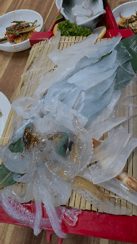 서귀포 석도수산 | 무늬오징어 한치 맛집 활어회,먹통찜, 튀김 솔직 후기와 7-8월 예약방법