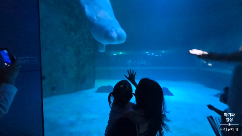 首爾適合帶寶寶去的地方，帶兩歲寶寶參觀樂天世界水族館心得，水光庭園展覽