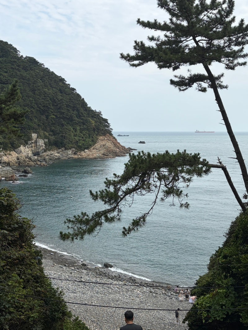 搭乘釜山太宗臺遊覽船暢遊影島海域的真實心得 (夏季不推薦)