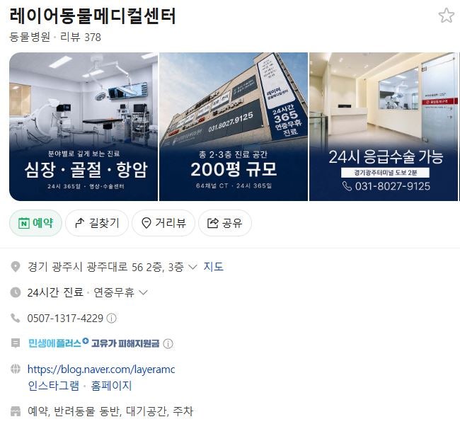 경기 광주 레이어 동물병원 건강검진 후기