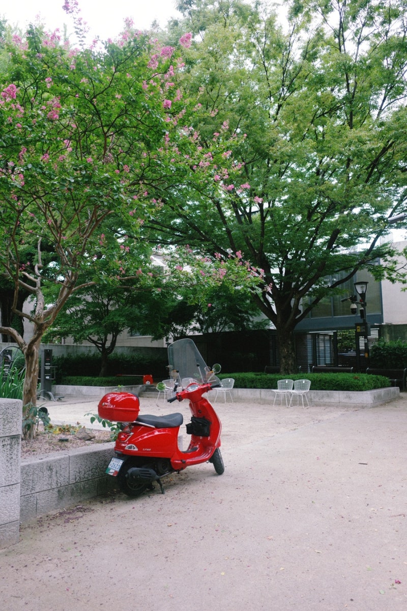 리코 GR4 HDF 후기, 작례