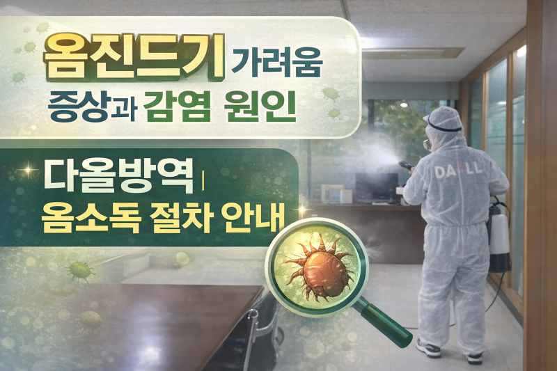 부산 옴진드기, 요양병원 발생 원인부터 증상·퇴치·소독업체 선택 기준까지