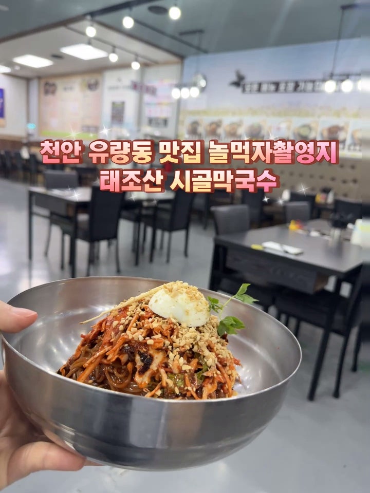 천안 유량동 맛집 태조산 시골막국수 명태회막국수 후기(놀먹자 촬영지)