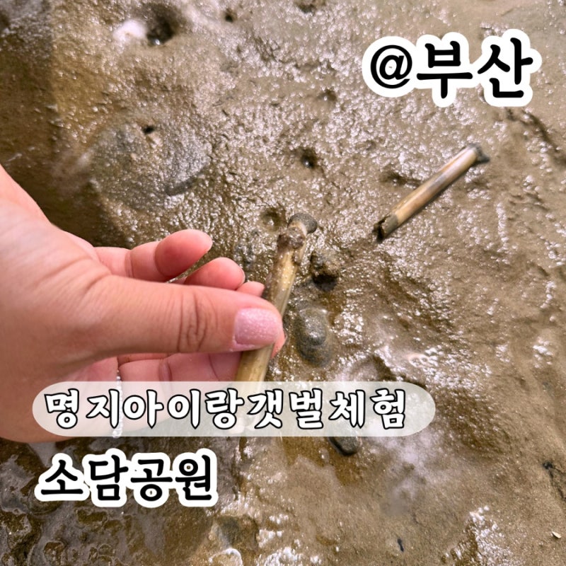 명지 아이랑 갯벌체험 하기좋은 소담공원 주차 준비물