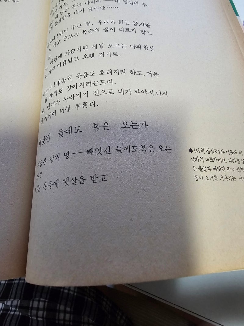 _이상화