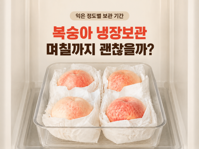복숭아 냉장보관 며칠? 익은 정도별 보관 기간 정리