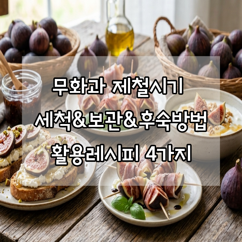 코스트코 무화과 | 맛있는 무화과 고르는 법부터 세척 보관 후숙 방법까지! (+활용레시피 4가....