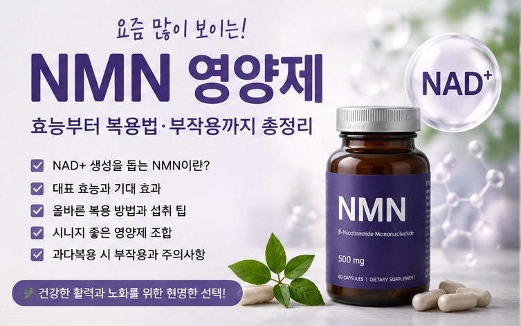 요즘 많이 보이는 NMN 영양제, 정말 효과 있을까? 효능·복용법·부작용 총정리