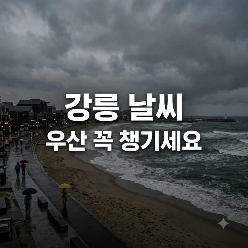 "비 올 줄 몰랐는데.." 오늘 강릉 날씨 상황, 직접 겪어보니 뜻밖의 반전