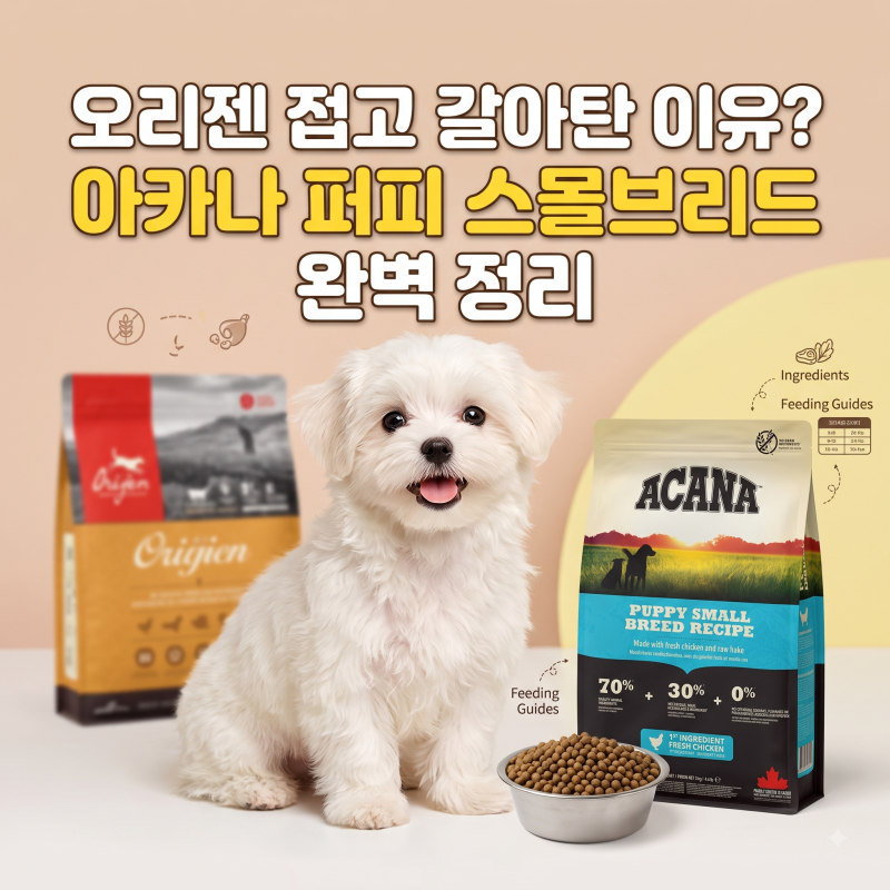 오리젠 접고 갈아탔다는 이유, 아카나 퍼피 스몰브리드 성분·급여량 완벽 정리