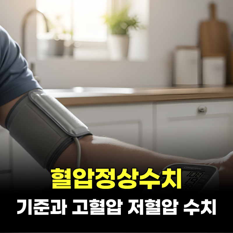 혈압정상수치 기준과 고혈압 저혈압수치 대응 방법