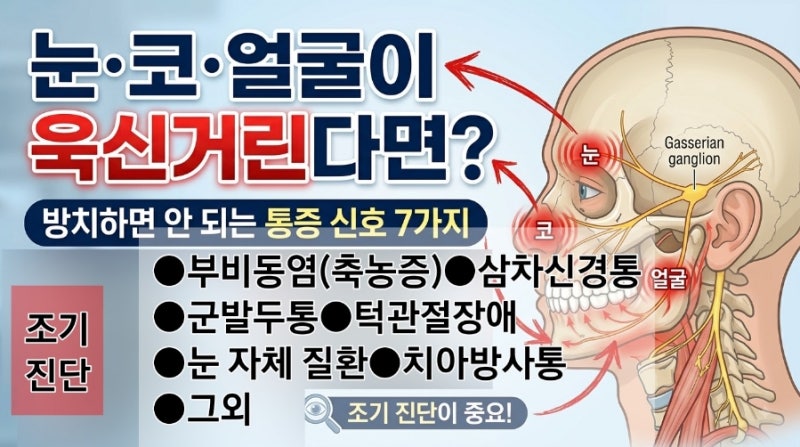눈 코 얼굴 통증 원인 7가지｜부비동염 증상부터 치료법까지