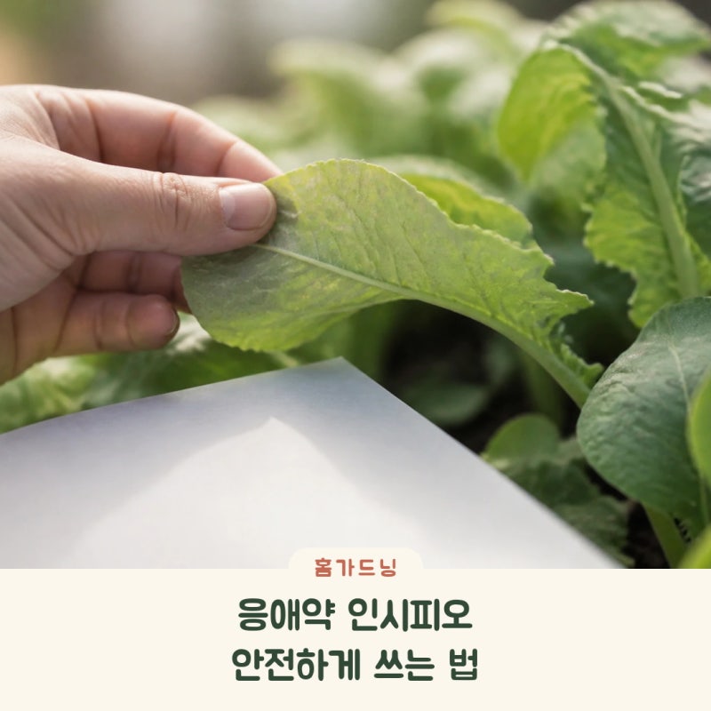 응애약 인시피오 안전하고 정확하게 사용하는 법