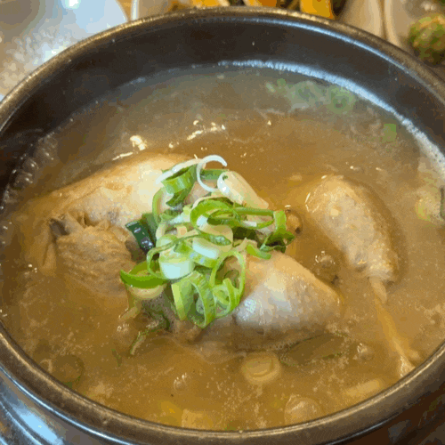 [전남광주] 광주삼계탕 맛집 이영미궁중한방삼계탕 지산점｜말복 가족 몸보신 옻삼계탕