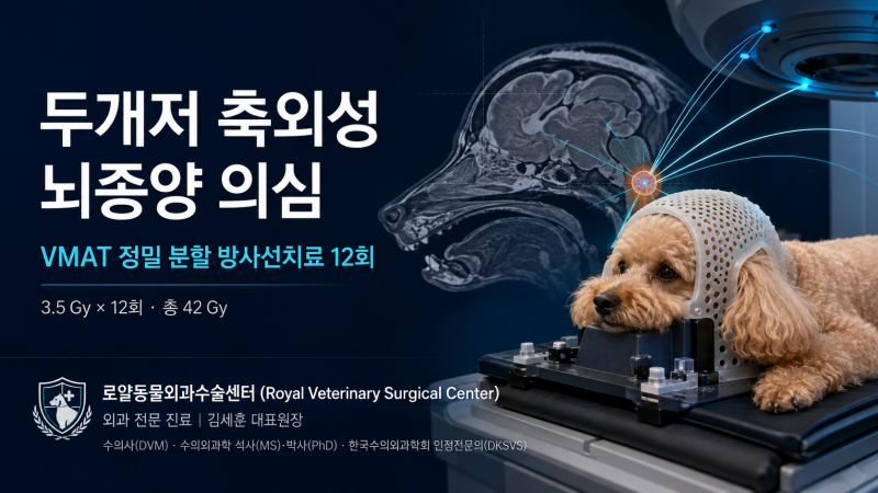 [Case Study] 강아지 두개저 축외성 뇌종양 의심, VMAT 정밀 분할 방사선치료 12회 증례
