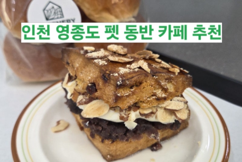 인천 영종도 애견 동반 카페 그리너리바스켓 녹색 가득한 대형 베이커리카페 꼭 가보세요