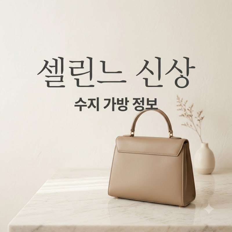 400만원대 셀린느 신상 가방 수지 플레어백 매력과 가격