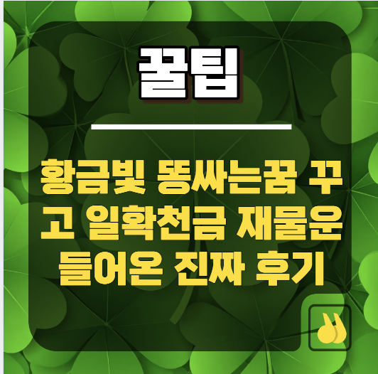 황금빛 똥싸는꿈 꾸고 일확천금 재물운 들어온 진짜 후기