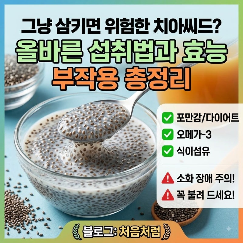 치아씨드 효능과 올바른 먹는법 부작용 없이 먹는 하루 권장 섭취량