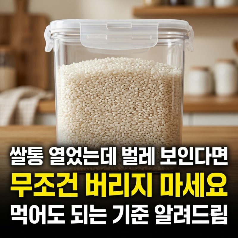 쌀통에서 벌레가 생겼다면 버려야 할까? 쌀벌레 생긴 쌀 선별 기준과 보관법
