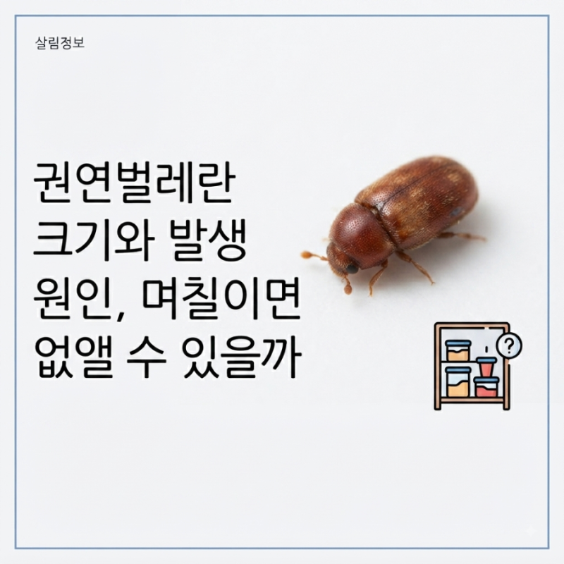권연벌레란, 크기와 발생 원인, 며칠이면 없앨 수 있을까?