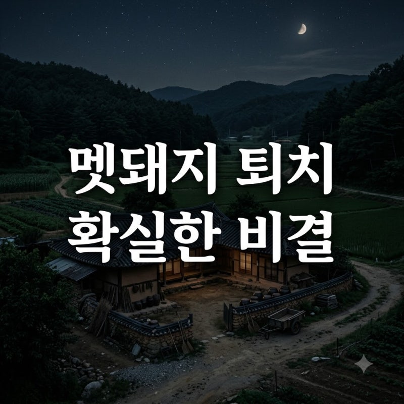 결국 밭 다 파헤치더니.. 멧돼지퇴치법, 냄새만으론 부족했던 이유