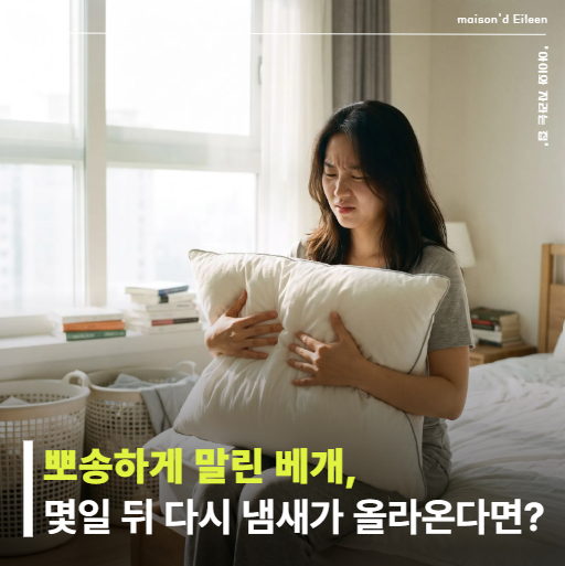 베개 냄새 제거하려고 빨았는데 며칠 뒤 또… 세제보다 먼저 볼 건 "이곳"