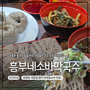 [천안 쌍용동 맛집] 판모밀 면발이 예술인 로컬 숨은맛집 흥부네소바막국수