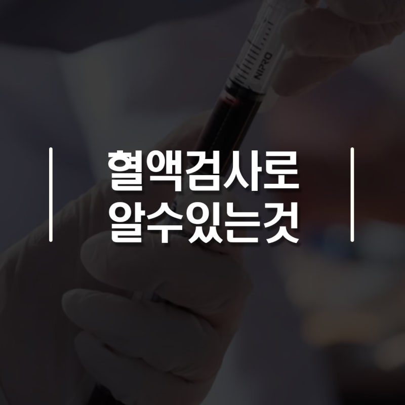 피검사로 알 수 있는 것 10가지|보건소 혈액검사 비용