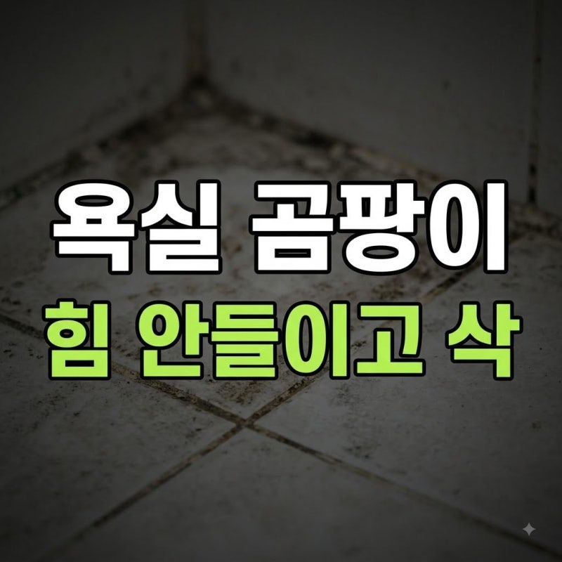욕실 타일 거뭇한 곰팡이 힘 안 들이고 지우는 천연 세제 조합