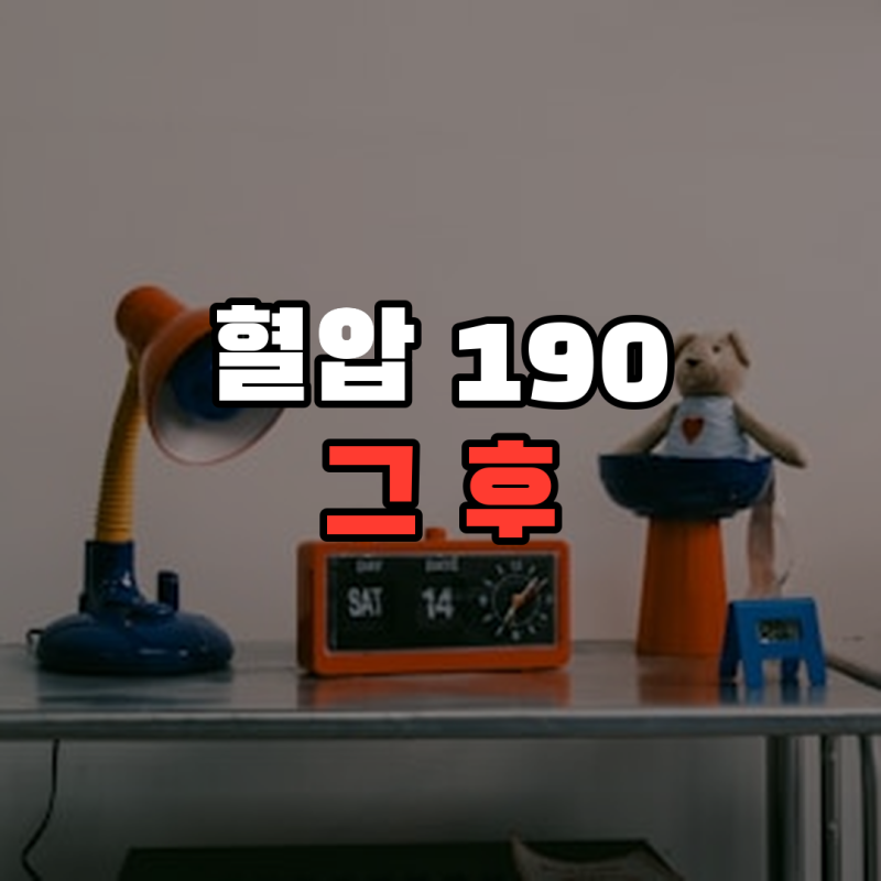 "혈압이 190이 넘었다" 6년 칩거 이소라가 감량보다 먼저 한 일