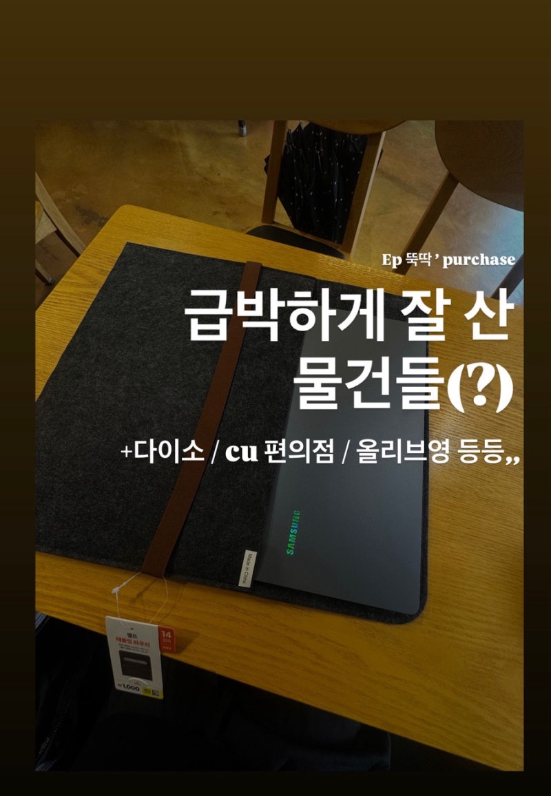 급하게 샀는데 꿀템이었던 것들,,(?)[다이소노트북파우치/씨유팬티,,,?/노브랜드과자추천/올....